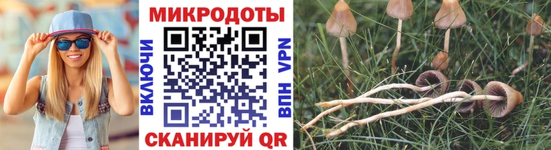 Галлюциногенные грибы Cubensis  купить наркотики цена  Ликино-Дулёво 